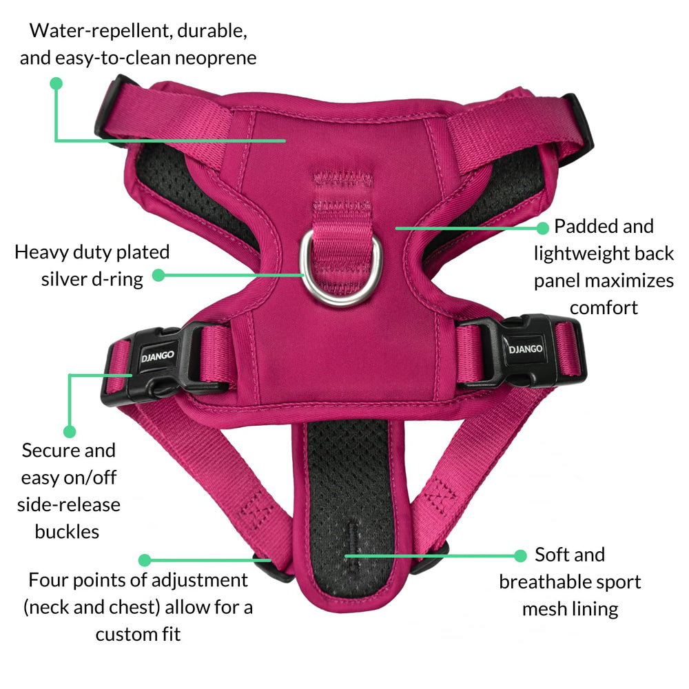 Conception adaptée aux grands chiens, offrant confort et sécurité durable.