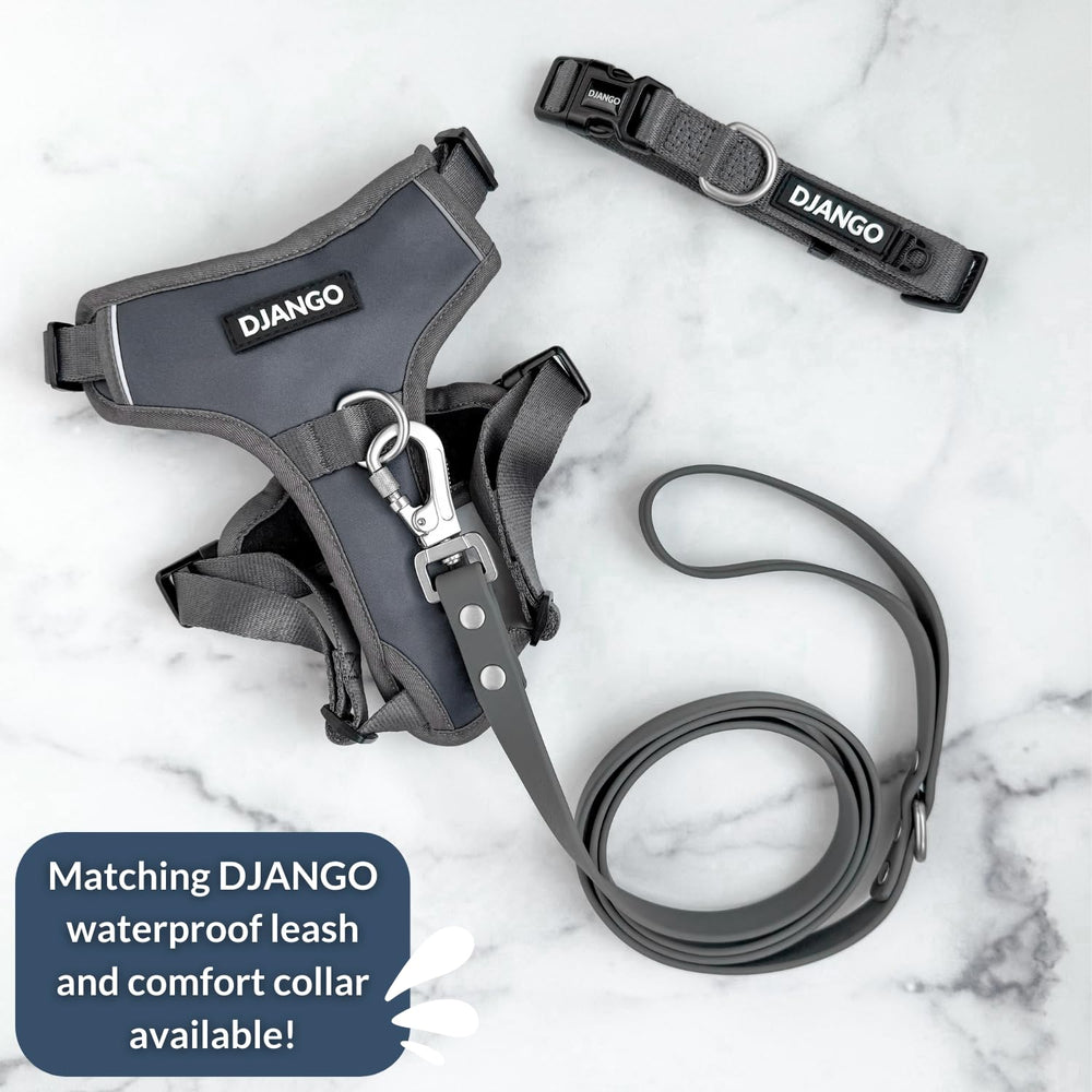 Harnais Django Tahoe pour petits chiens, ajustable et sûr.