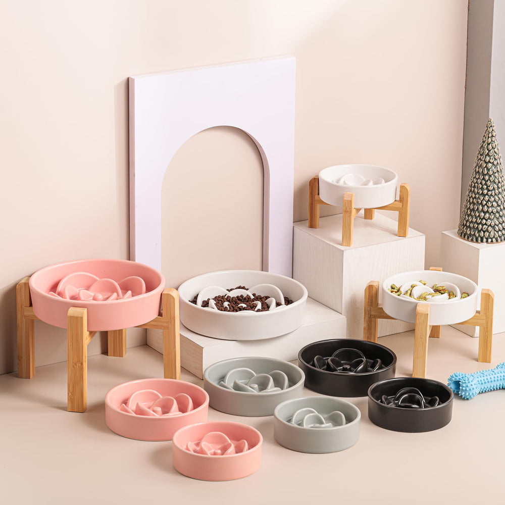 Bol DJJJOOYS céramique lavable au lave-vaisselle, nettoyage rapide