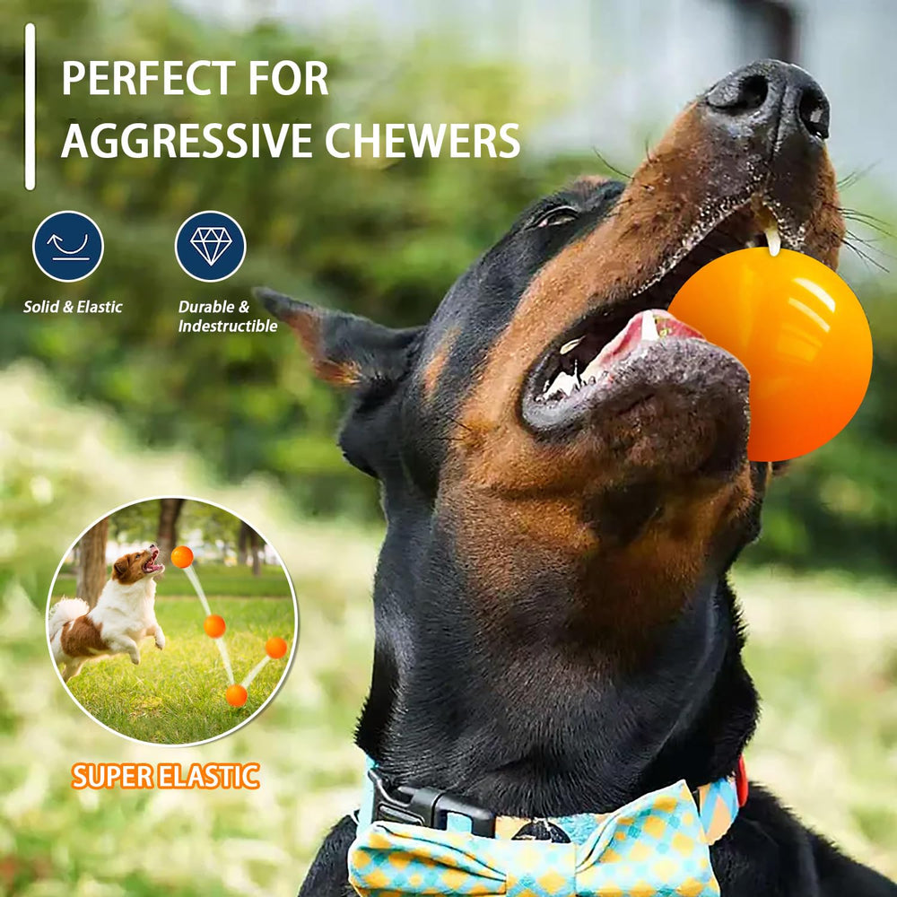 Balle DLDER flottante pour chien, parfaite pour jeux nautiques.