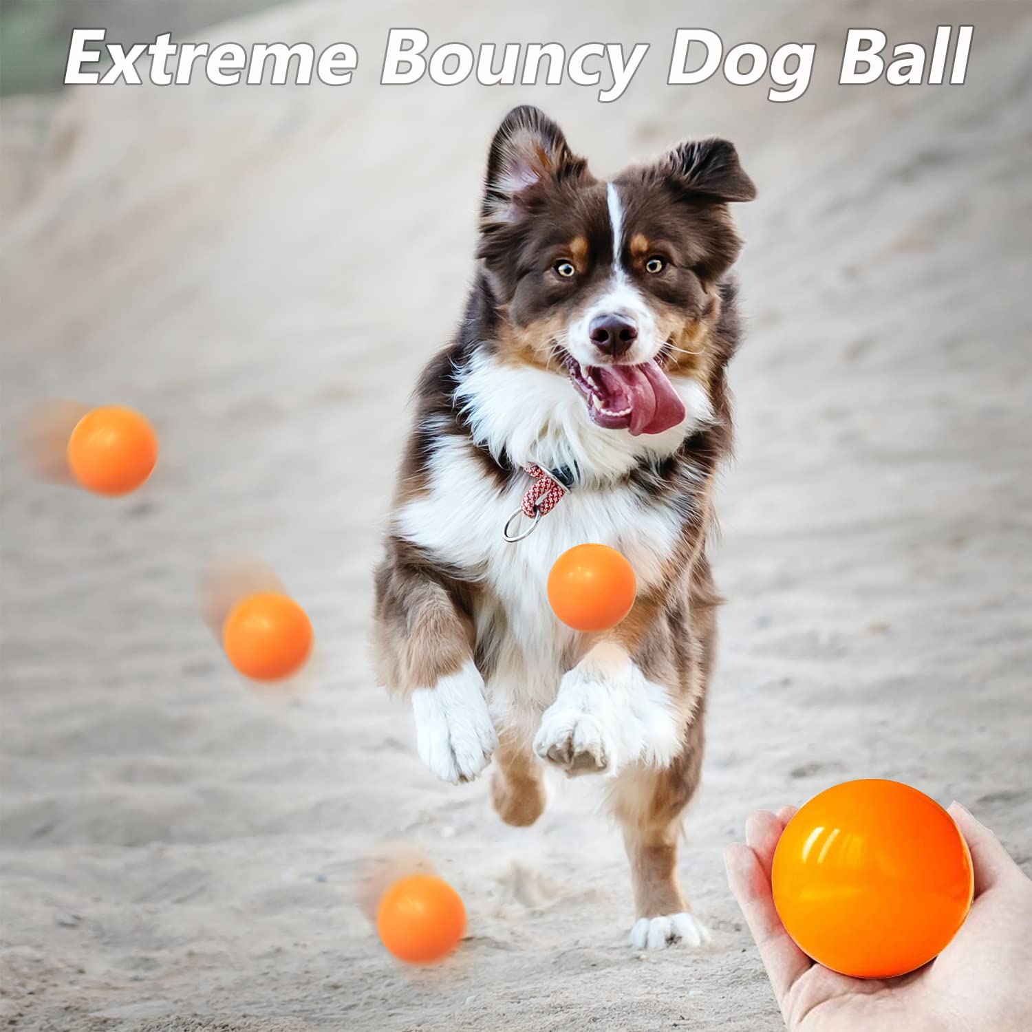 Balle DLDER rebondissante pour chien, stimule la poursuite et l’agilité.