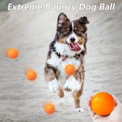 Balle DLDER rebondissante pour chien, stimule la poursuite et l’agilité.