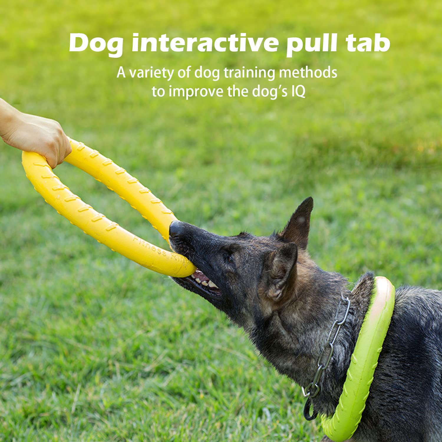 DLDER XL, anneau dentition chien, utile pour le mordant et les jeux extérieurs.