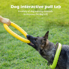 DLDER XL, anneau dentition chien, utile pour le mordant et les jeux extérieurs.