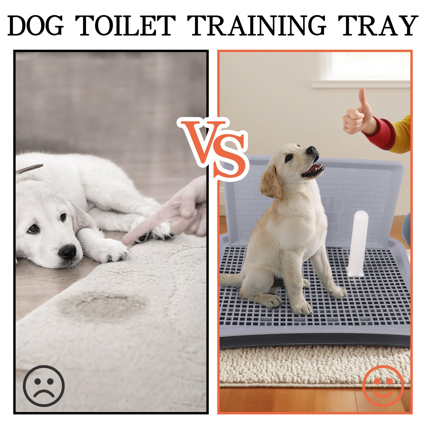 Dmnnlp Bords supeleves: orientation central et guide l animal