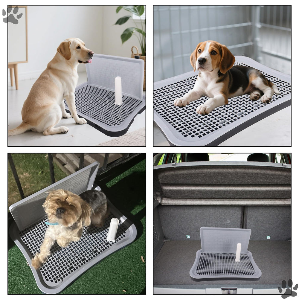 Dmnnlp Utilisation interieur-petits-moyens: ideale pour appartement et voyage