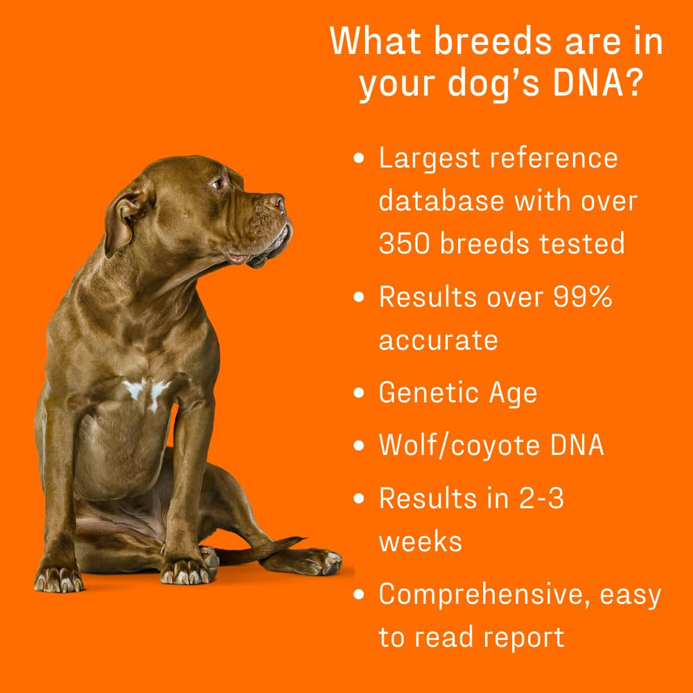 DNA My Dog, adn-du-loup: information sur l'ascendance du loup.