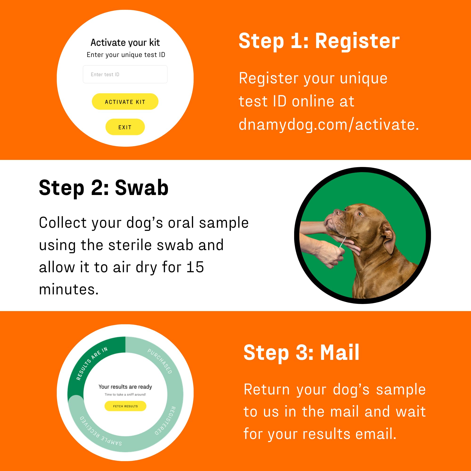 DNA My Dog, age genetique: estimation utile pour planifier les soins.