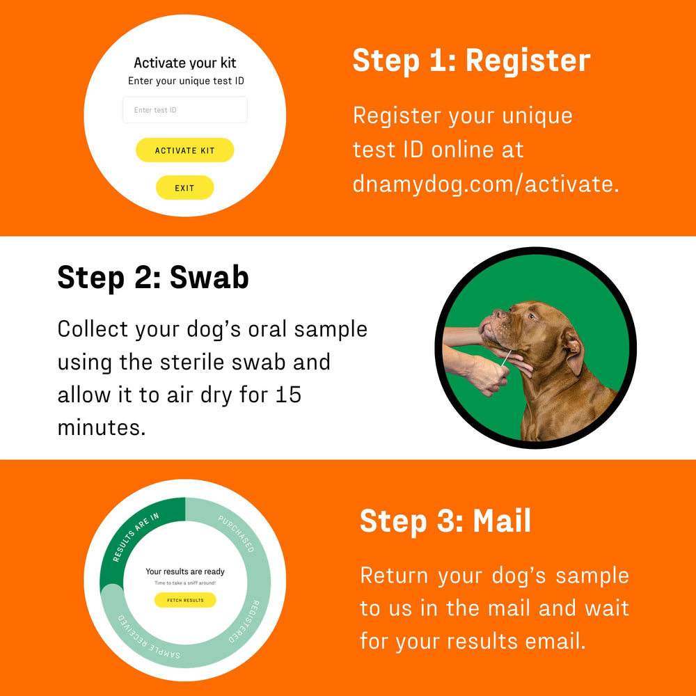 DNA My Dog, age genetique: estimation utile pour planifier les soins.