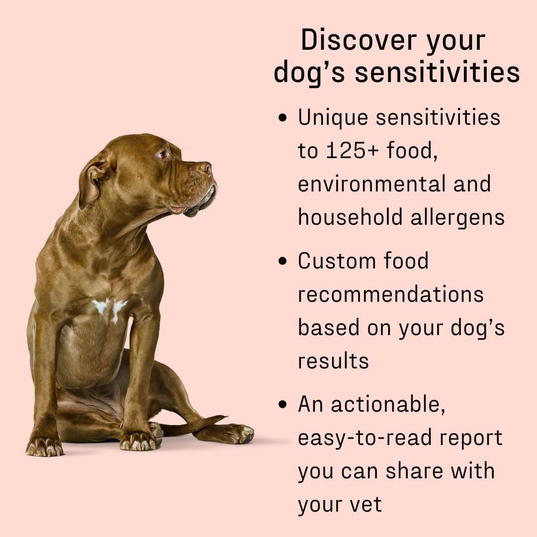 DNA MY DOG analyse plus de 120 allergènes pour votre chien