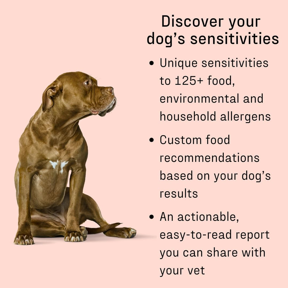 DNA MY DOG analyse plus de 120 allergènes pour votre chien