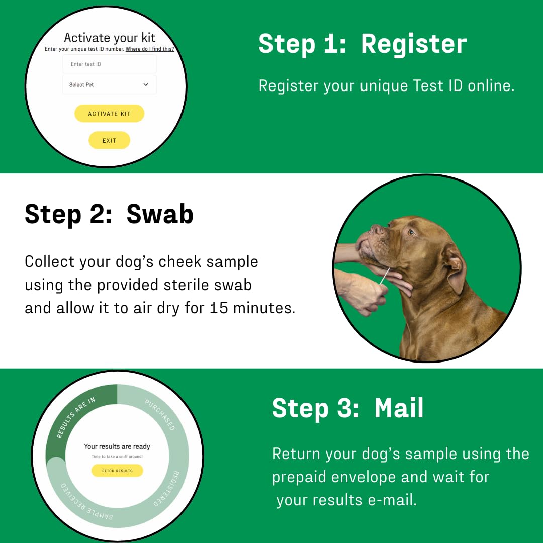 DNA MY DOG : certificat DNA téléchargeable pour votre dossier canin
