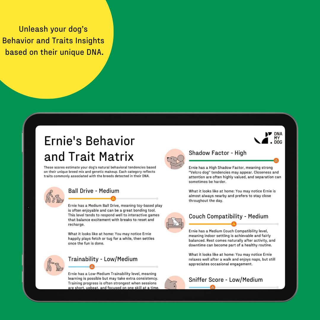 DNA MY DOG : conseils d’éducation et comportement basés sur le profil génétique