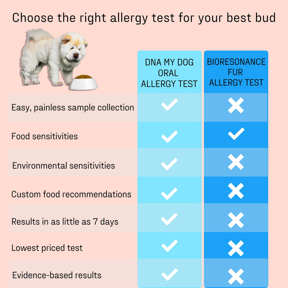 DNA MY DOG rapport détaillé et compréhensible pour chaque allergène