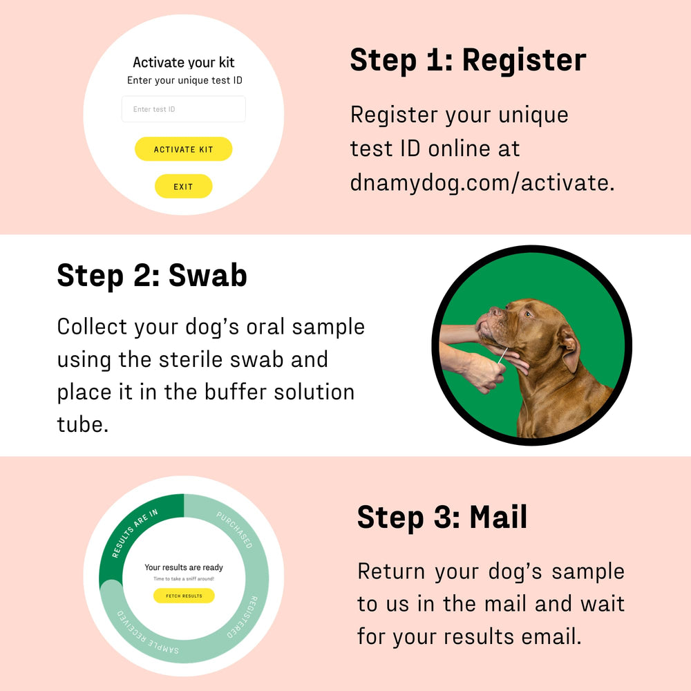 DNA MY DOG résultats en ligne accessibles rapidement et clairement