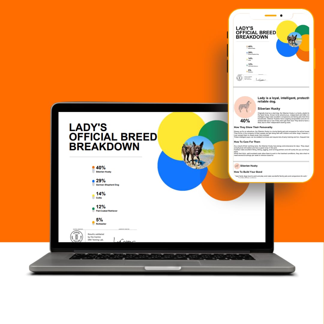 DNA My Dog, résultats en ligne : accès rapide à l'analyse des races.