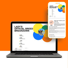 DNA My Dog, résultats en ligne : accès rapide à l'analyse des races.