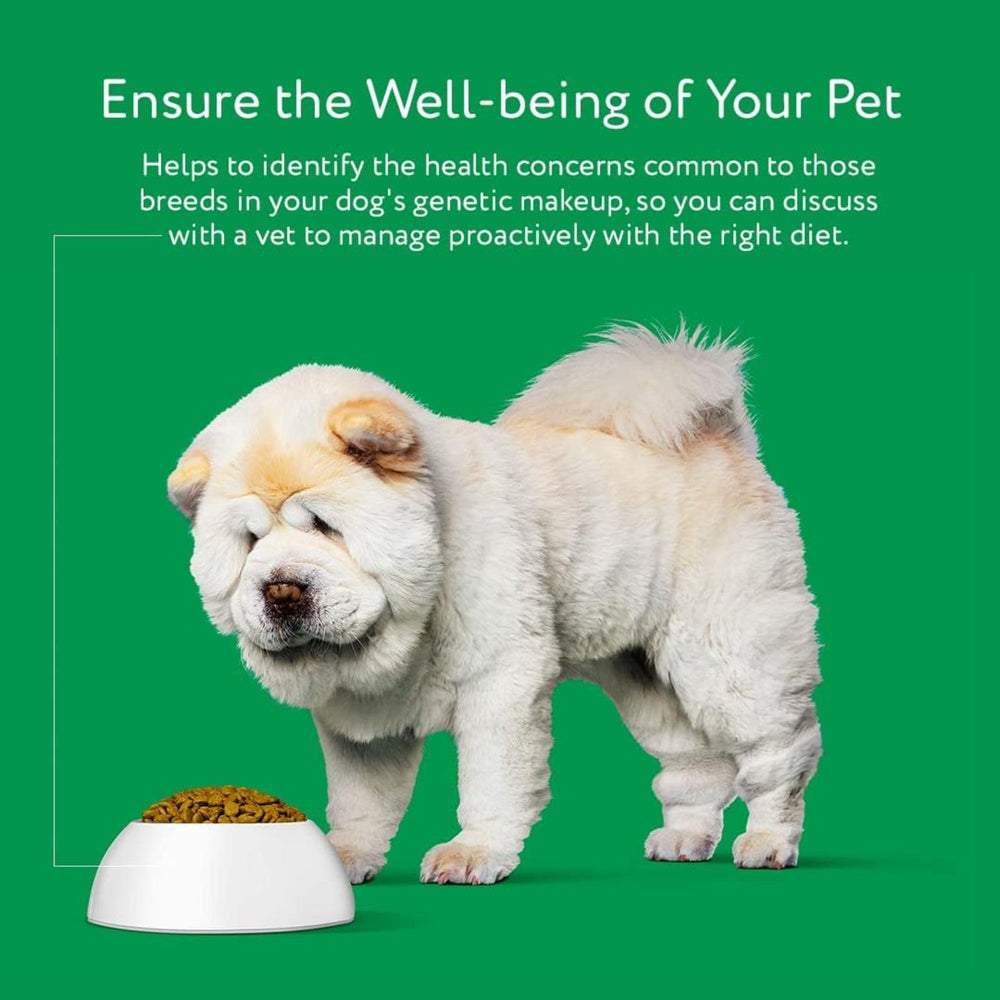 DNA MY DOG : support client réactif pour une expérience sans souci