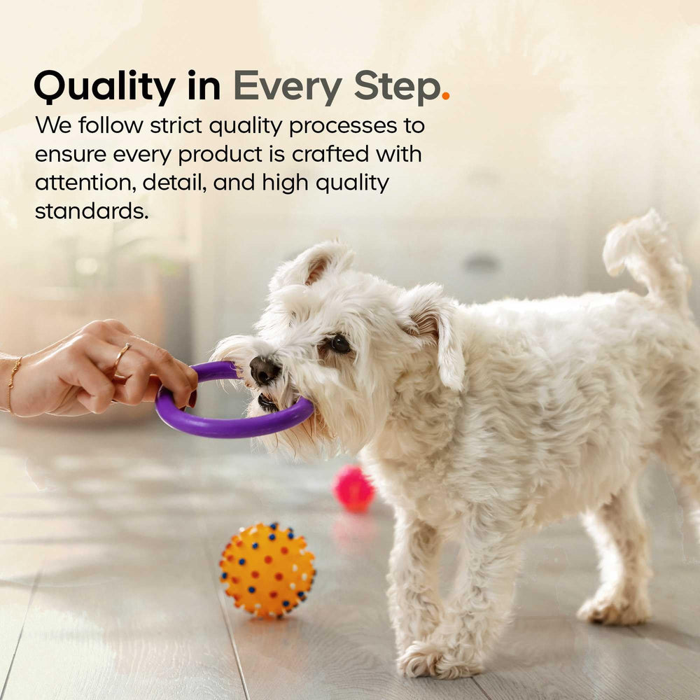DNA PET Collagene Liquide - composition incluant MSM, vitamine C et biotine.