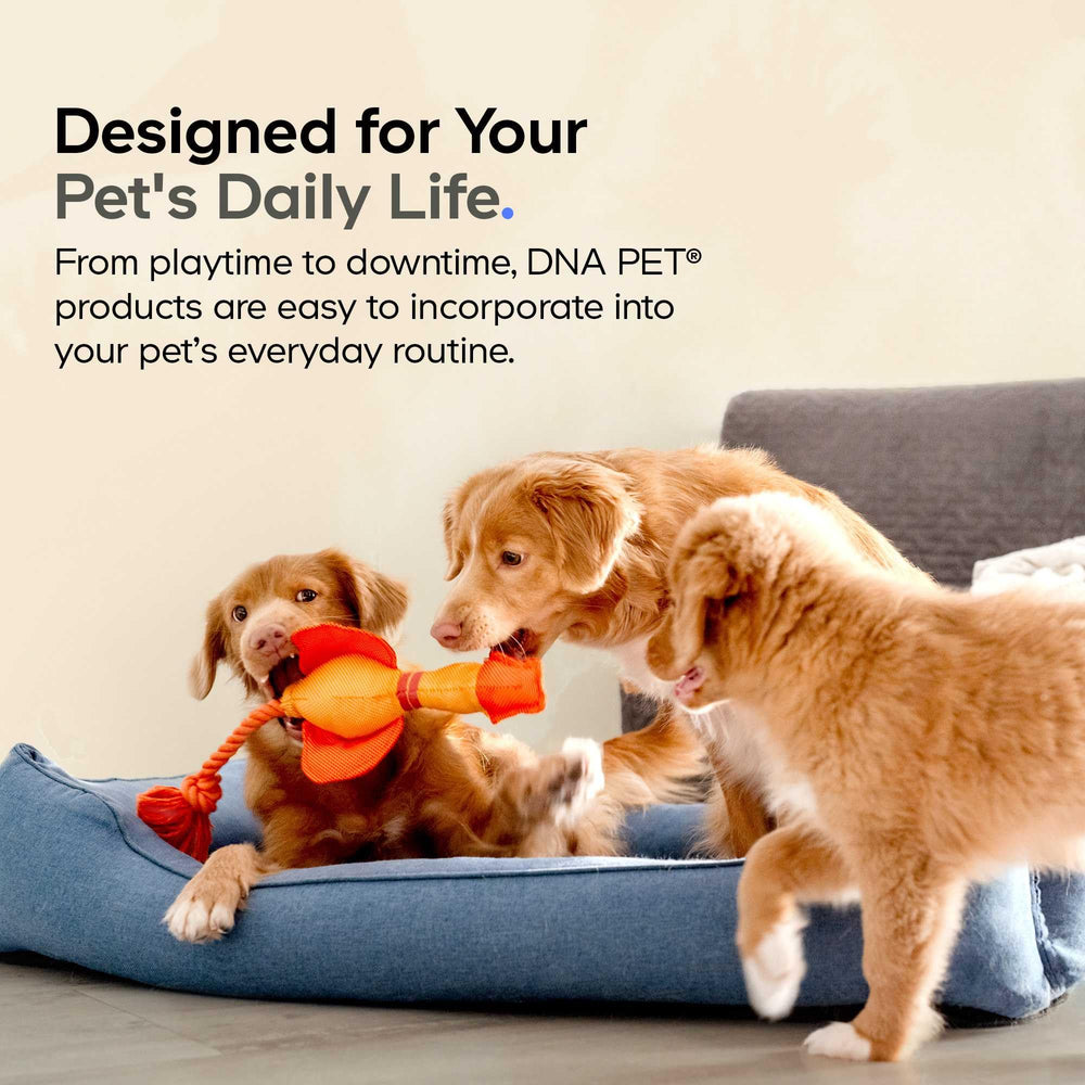 DNA PET Collagene Liquide - peau et poil visiblement plus sains.