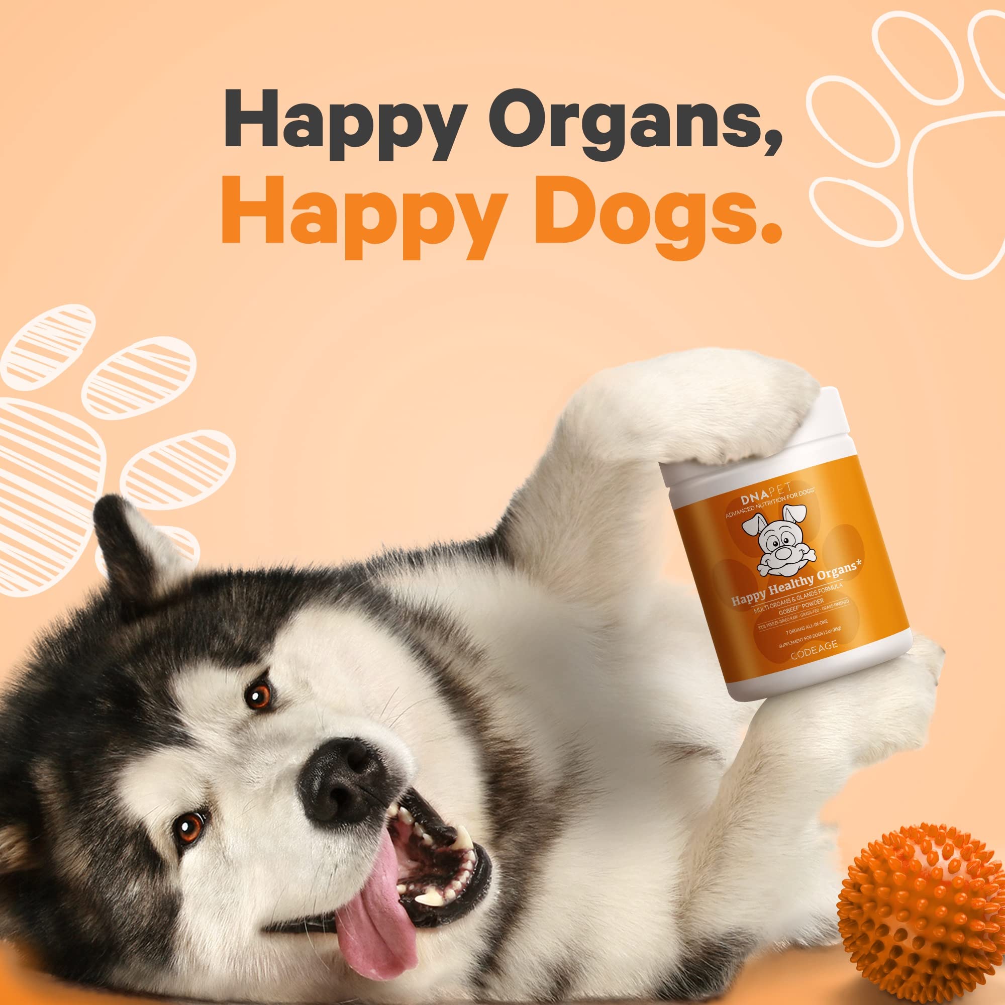 DNA PET Happy Healthy Organs moelle osseuse bovine, apport nutritionnel riche pour chiens.