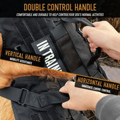 Gilet DNALLRINO pour chien de service, poignées renforcées pour un contrôle rapide.