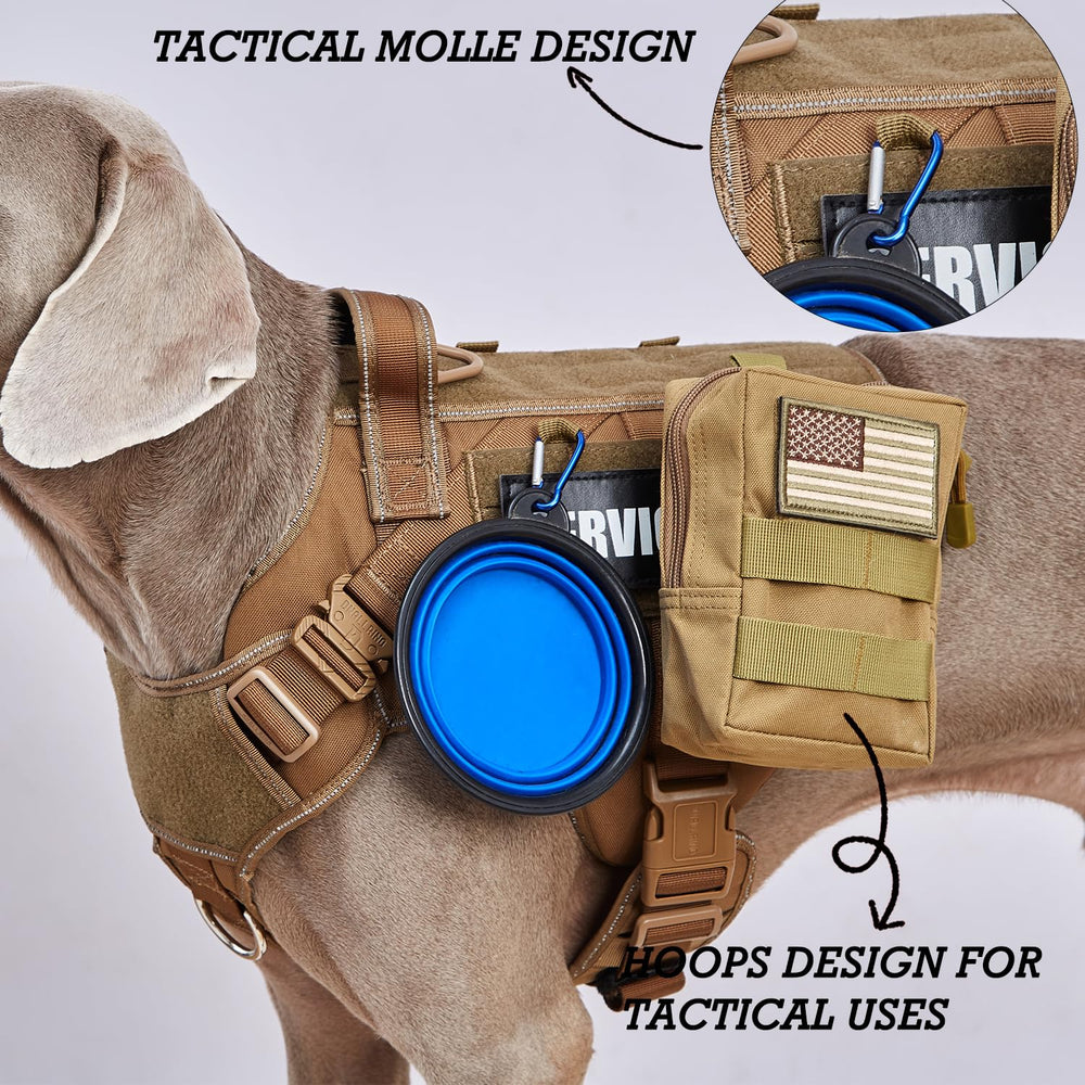 Patchs DNALLRINO: ne pas toucher et chien de service visibles