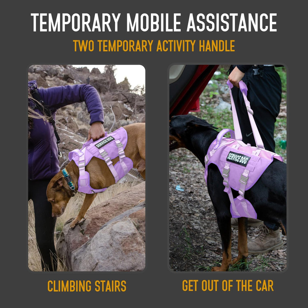 Gilet taille L DNALLRINO pour grands chiens, pratique en randonnée.