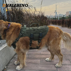 Système MOLLE DNALLRINO pour transporter accessoires lors des sorties.