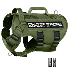 Veste-service DNALLRINO pour chien grande taille, confort durable lors des entraînements.