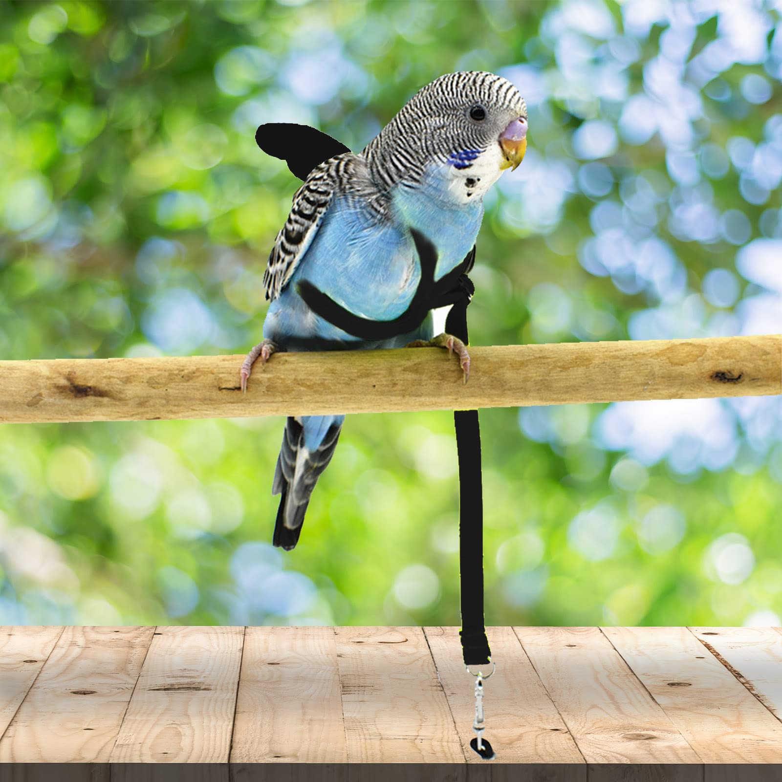 Harnais ajustable Dnoifne pour un ajustement confortable sur votre oiseau.