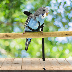 Harnais ajustable Dnoifne pour un ajustement confortable sur votre oiseau.