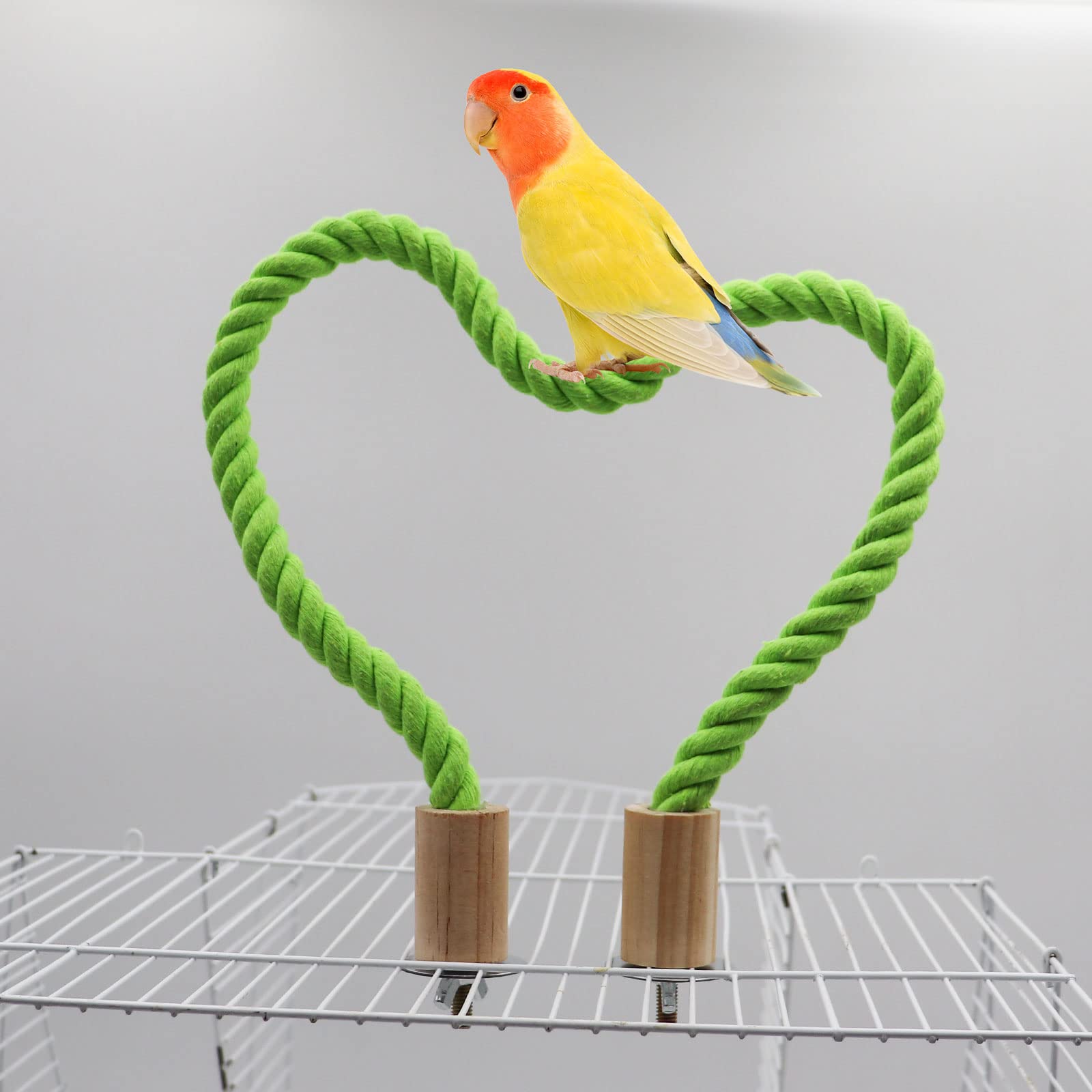 Perche Dnoifne avec fixations multiples pour cage, installation flexible.