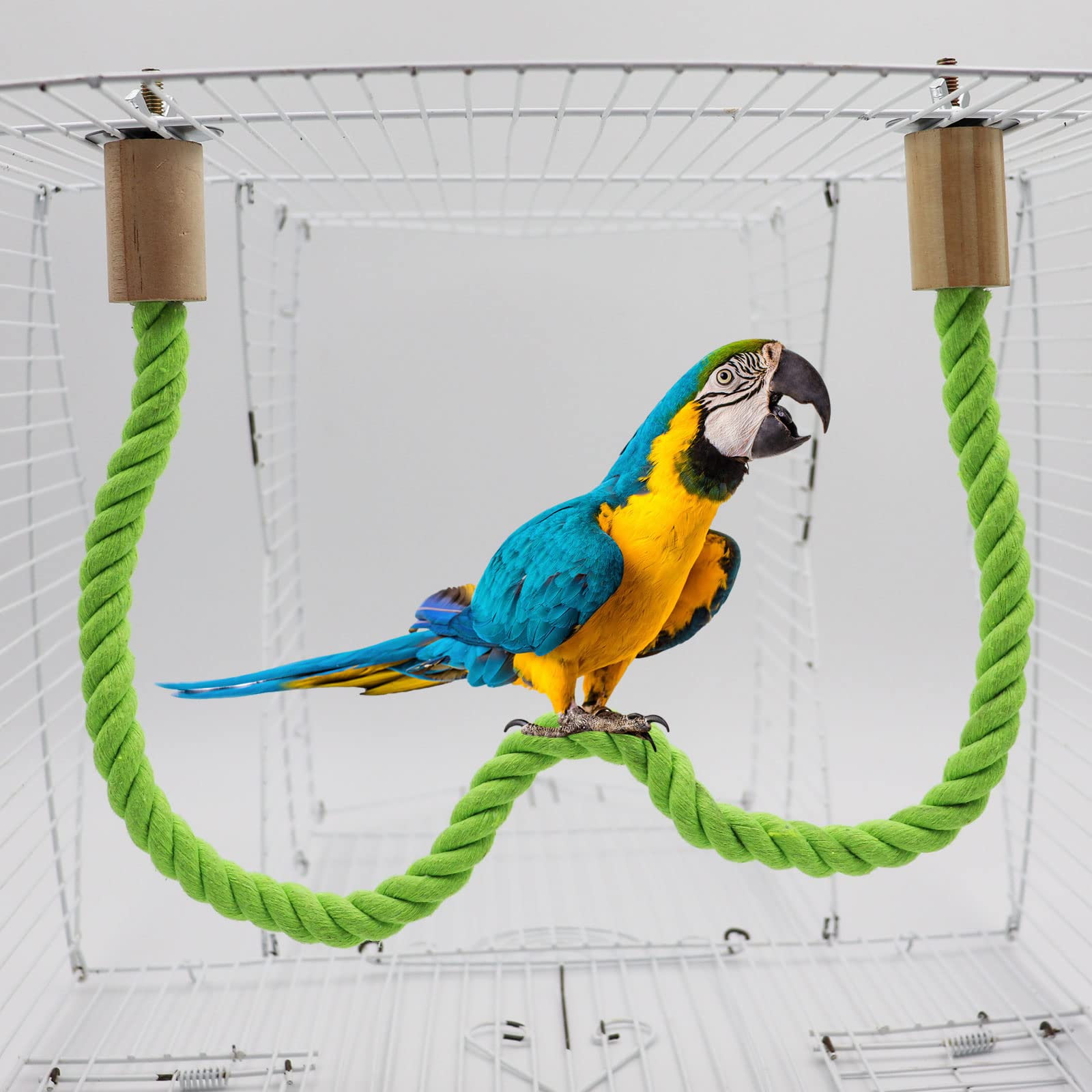 Longueur 60 cm, perche Dnoifne adaptée aux cages moyennes et grandes.