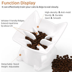 Bol DNOYEUS alimentation lente solide et durable pour maison active.