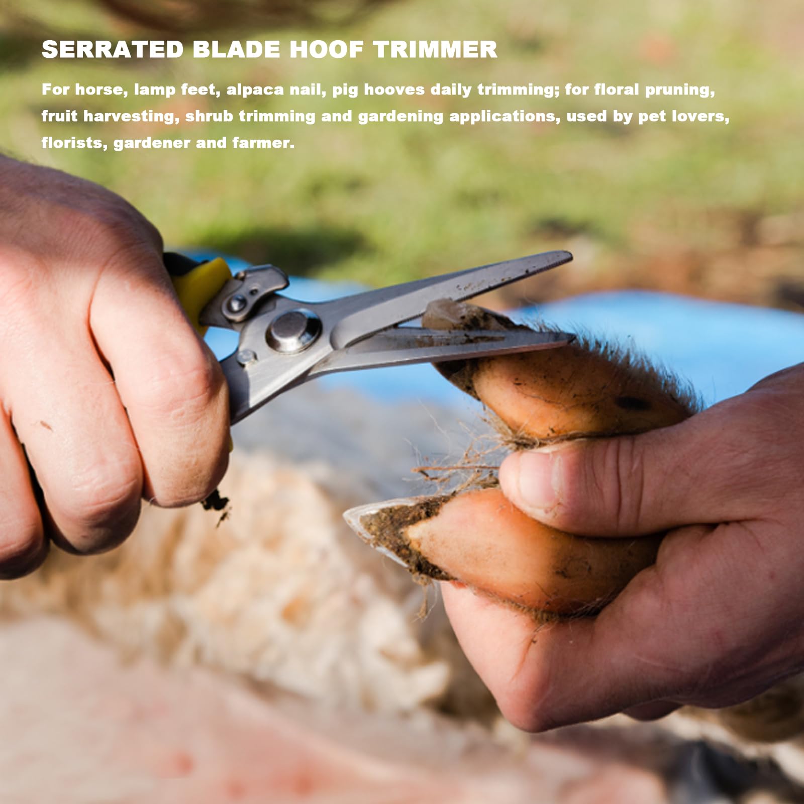 Docdciy emballage-kit sabot, rangement pratique pour la ferme.