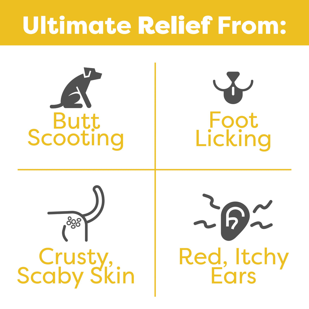 DocItchy Itch Defense: gommes souples faciles à donner pour allergie canine.