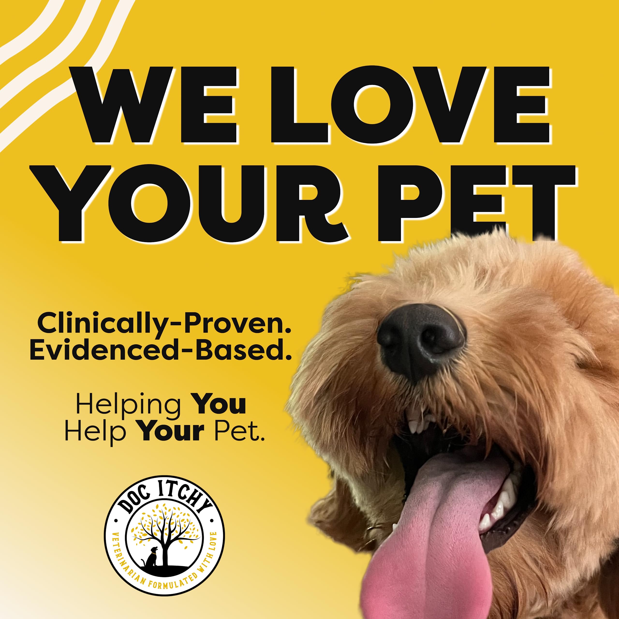 Doc Itchy sans-allergenes: adapté pour chiens sensibles et allergies.
