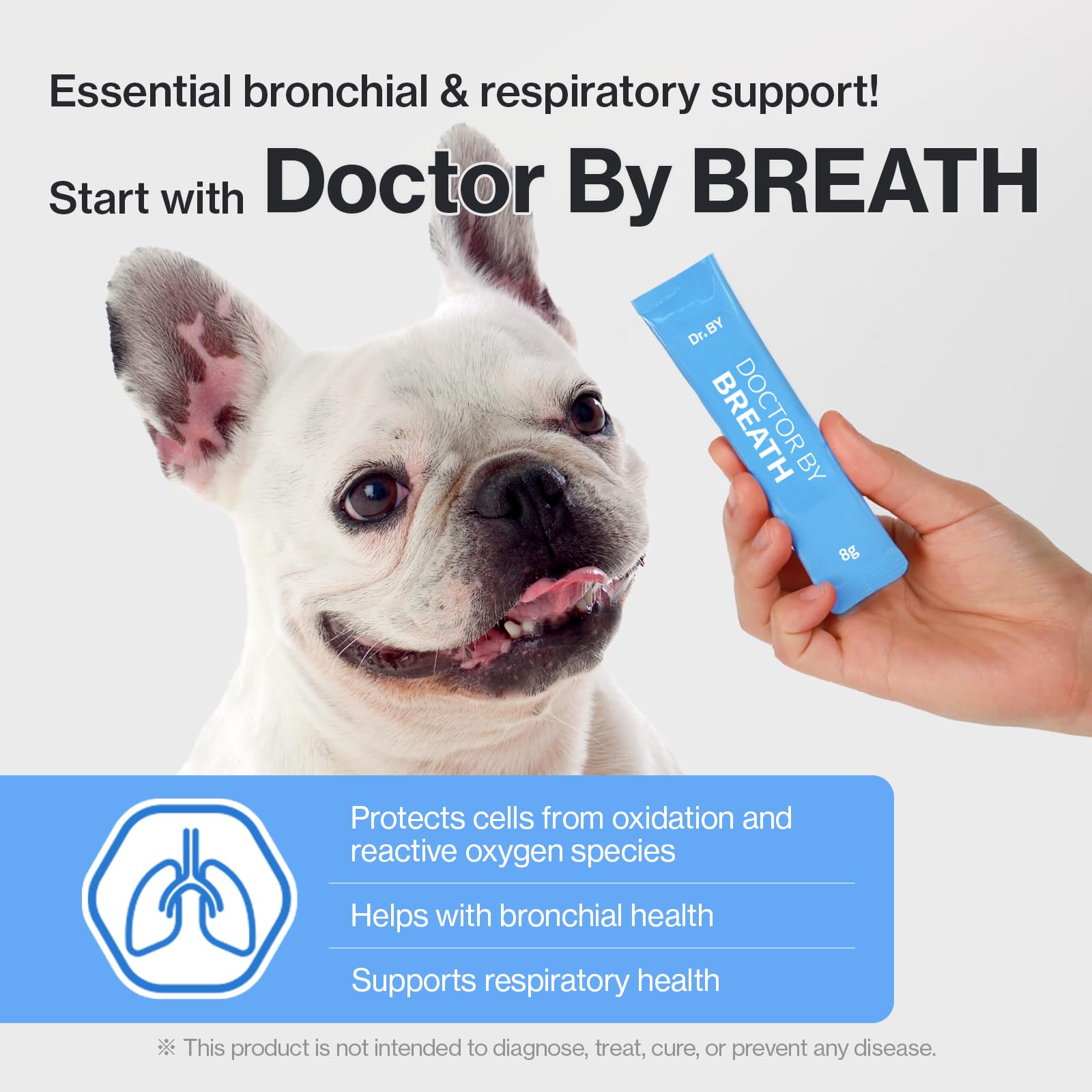 Magnesium: complément pour le confort respiratoire quotidien du chien.