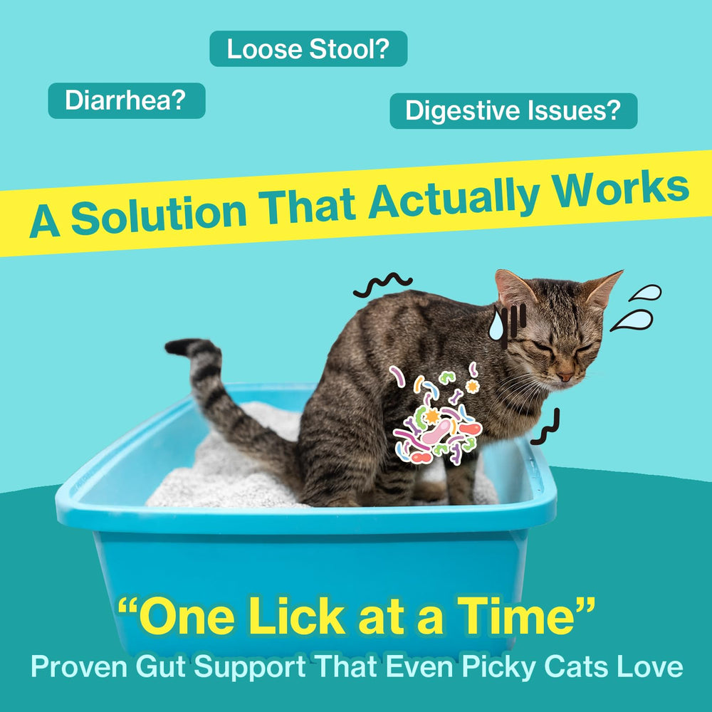Doctor By Cat Biome Probiotiques: emballages individuels, dosage pratique pour chats.
