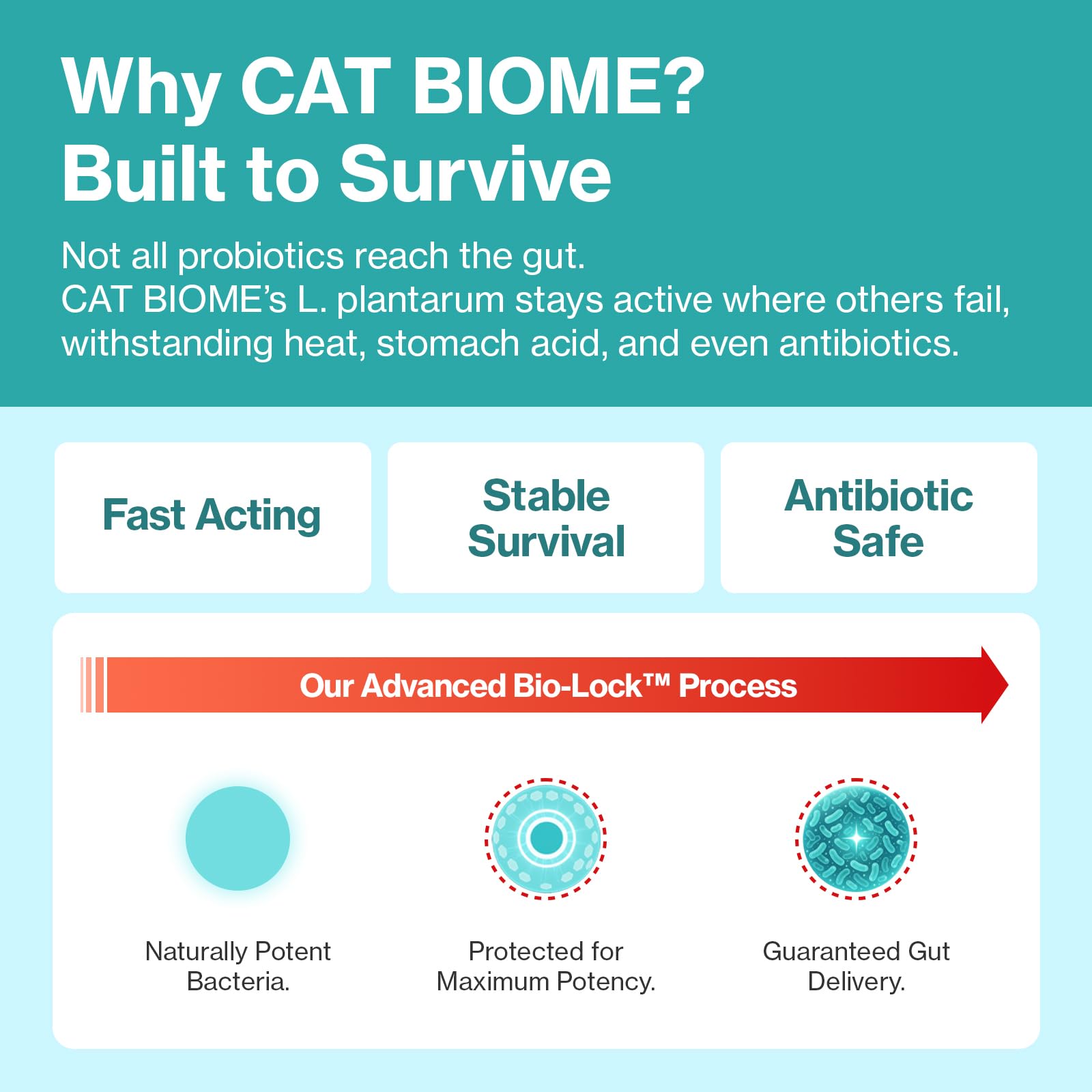 Doctor By Cat Biome Probiotiques: ingredients zinc et magnésium pour le bien etre.