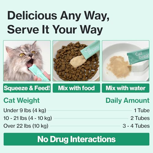 Chat utilisant Doctor By Cat Breath, exemple de routine bienveillante.