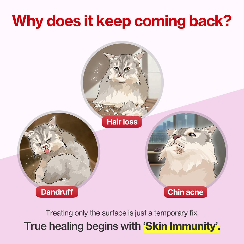 Doctor By Cat Silk Derma – beta-glucane pour soutien immunitaire