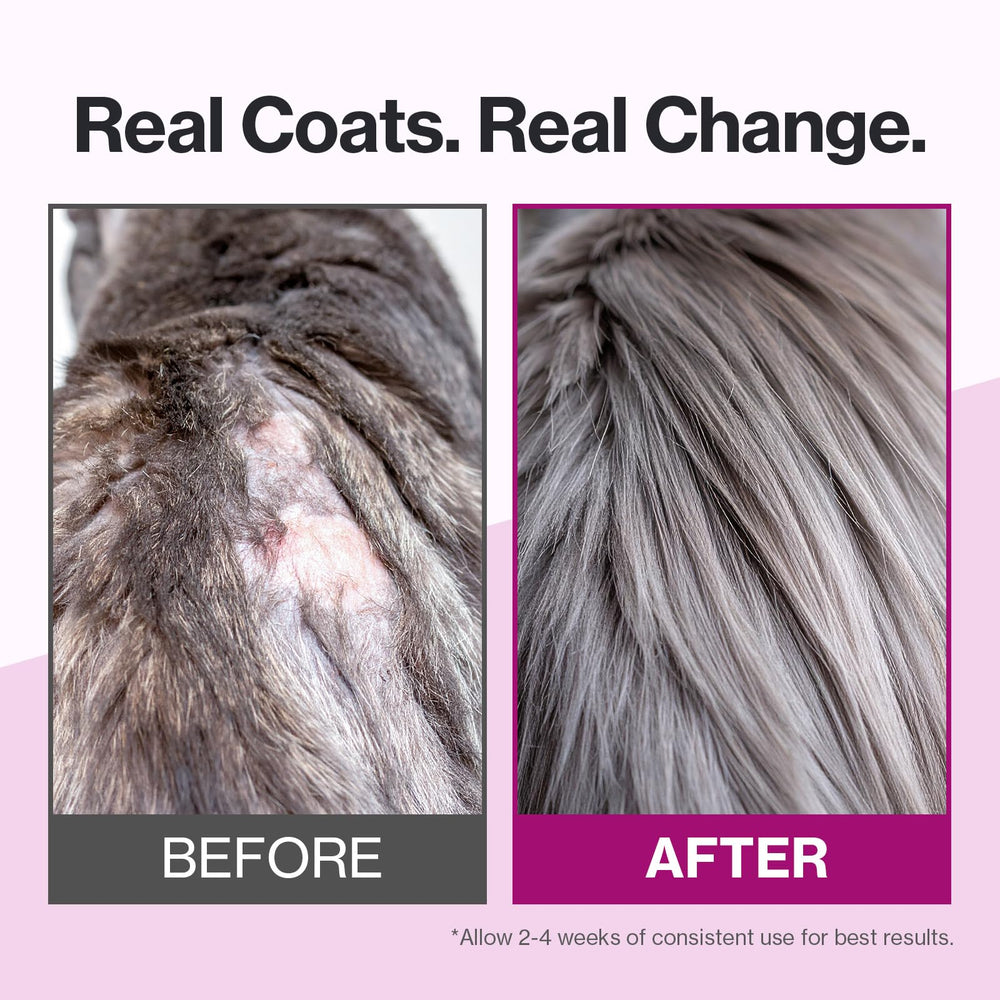 Doctor By Cat Silk Derma – sachet démontrant l’utilisation sur le pelage et la peau