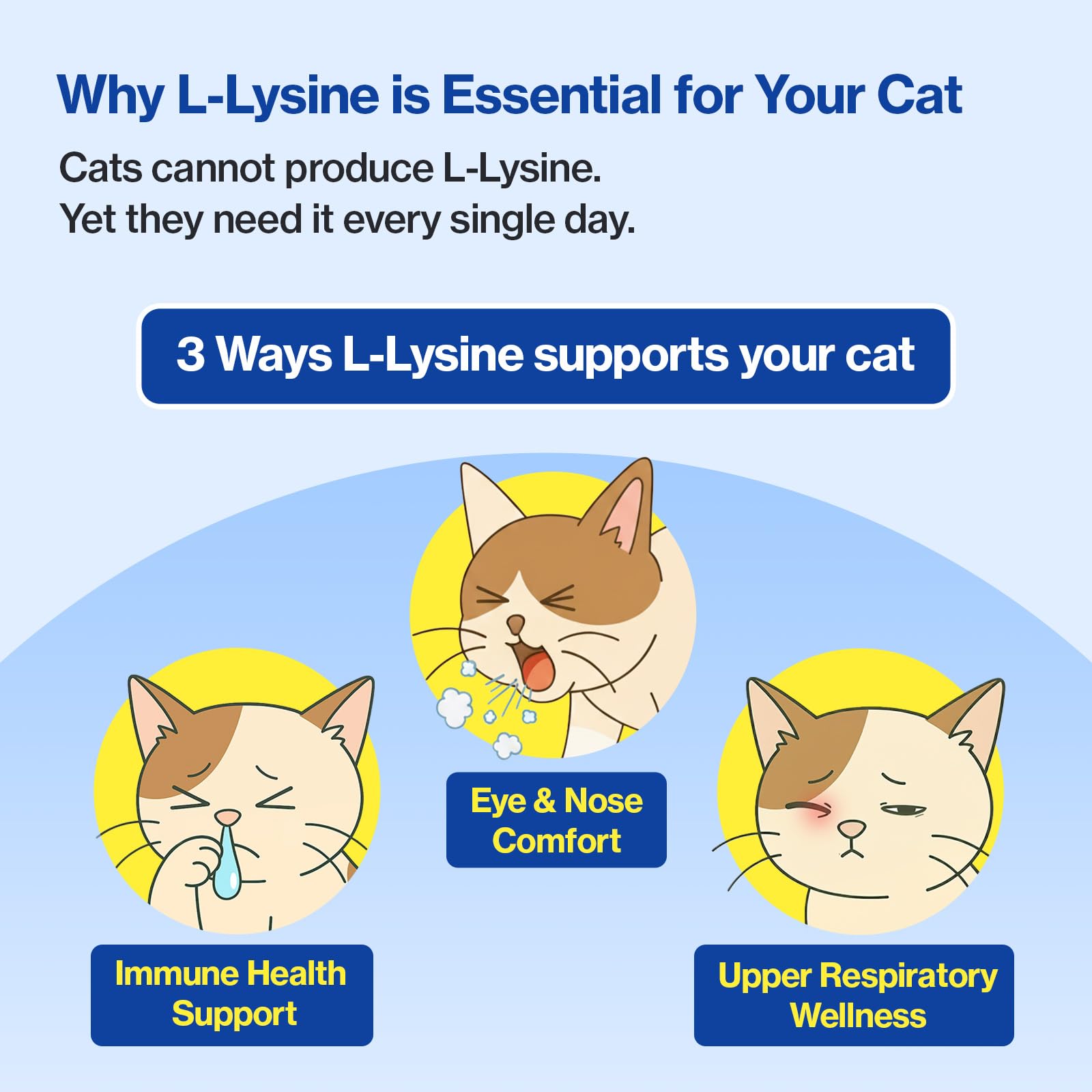 Doctor By FELYSIN – lysine biologique soutient le système immunitaire potentiel.