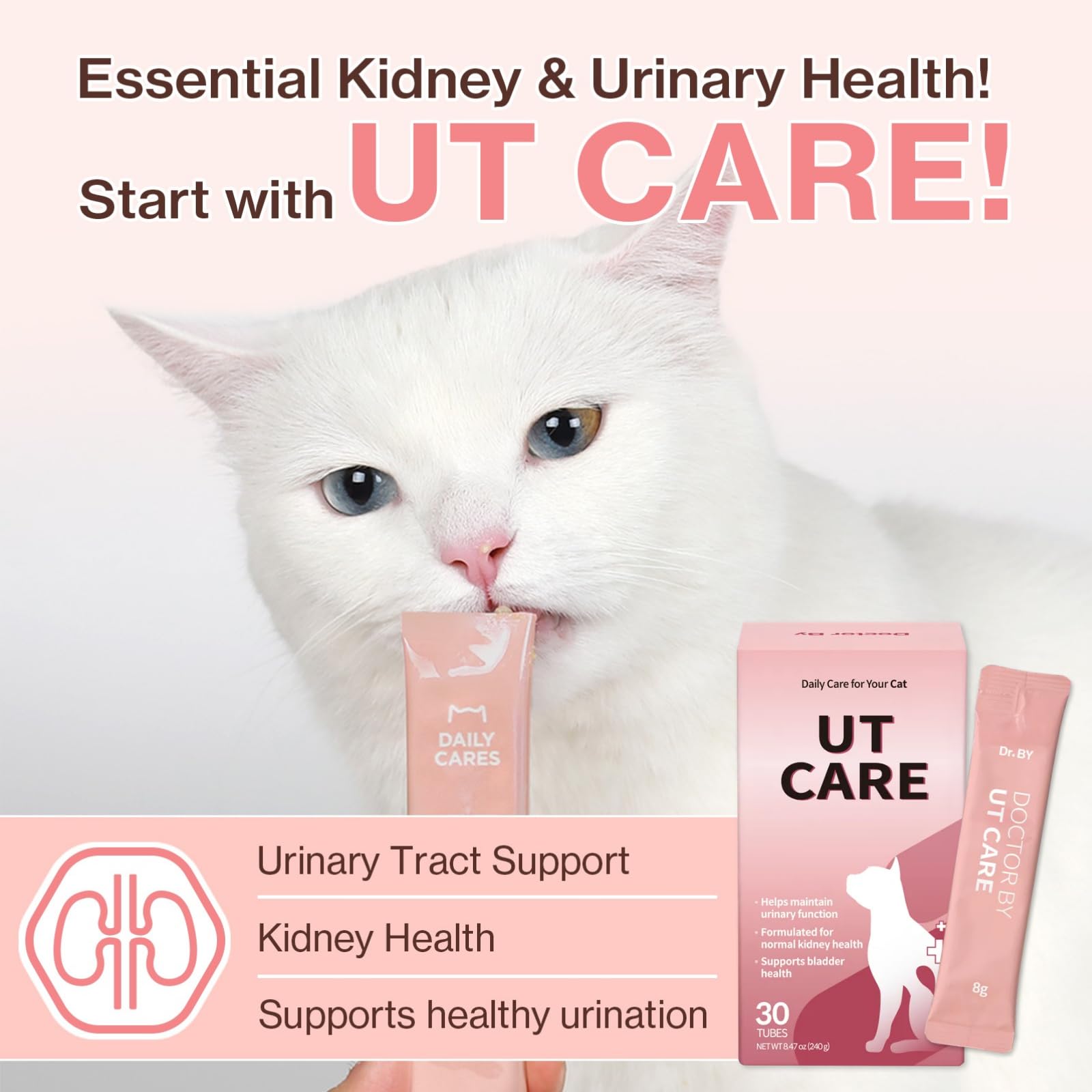 Anthocyanosides inclus dans Doctor By UT Care Chat pour soutien urinaire