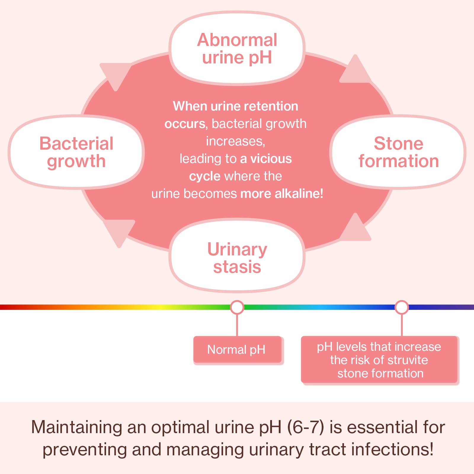 Curcumine du curcuma dans Doctor By UT Care Chat pour équilibre