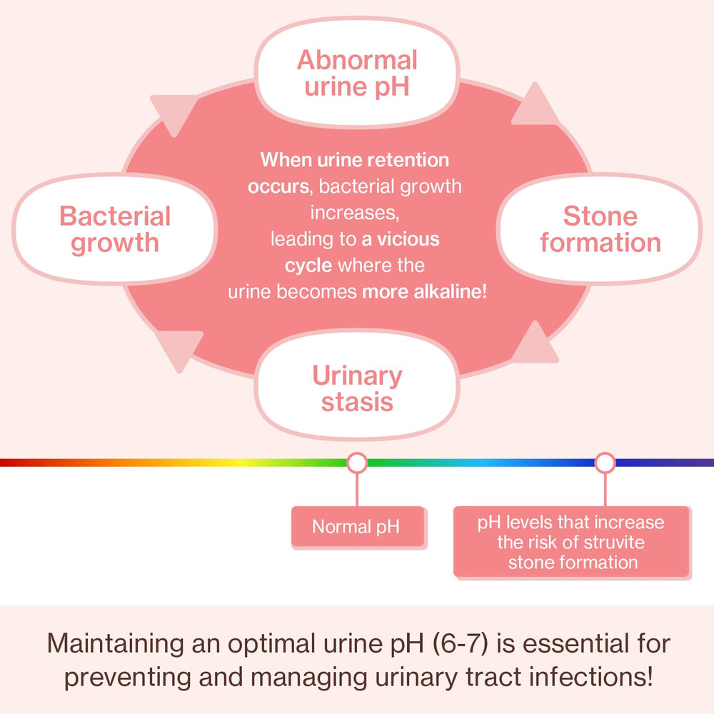 Curcumine du curcuma dans Doctor By UT Care Chat pour équilibre