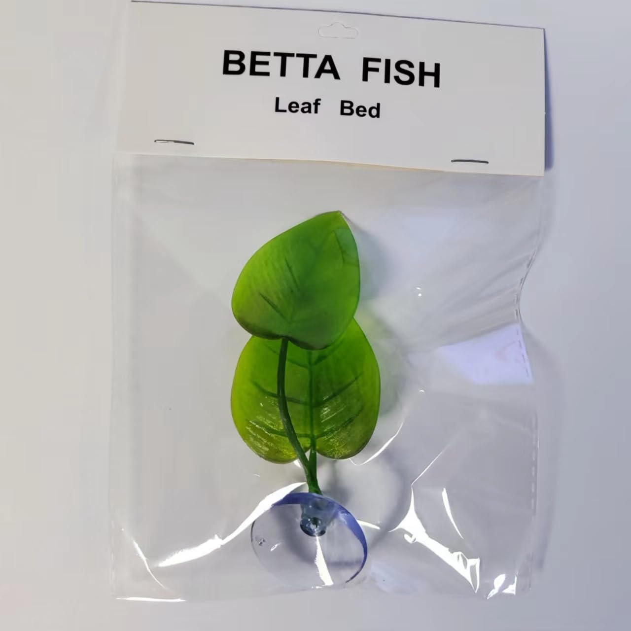 L’environnement naturel DODOAQUA favorise le repos et le bien-être du Betta.