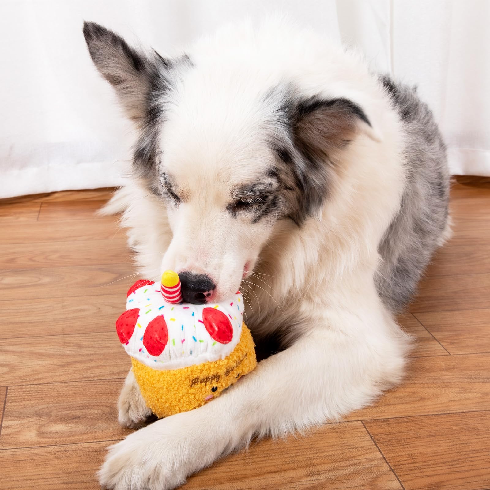 Jouet Dododola gâteau-anniversaire-jaune idéal pour chien moyen à grand.